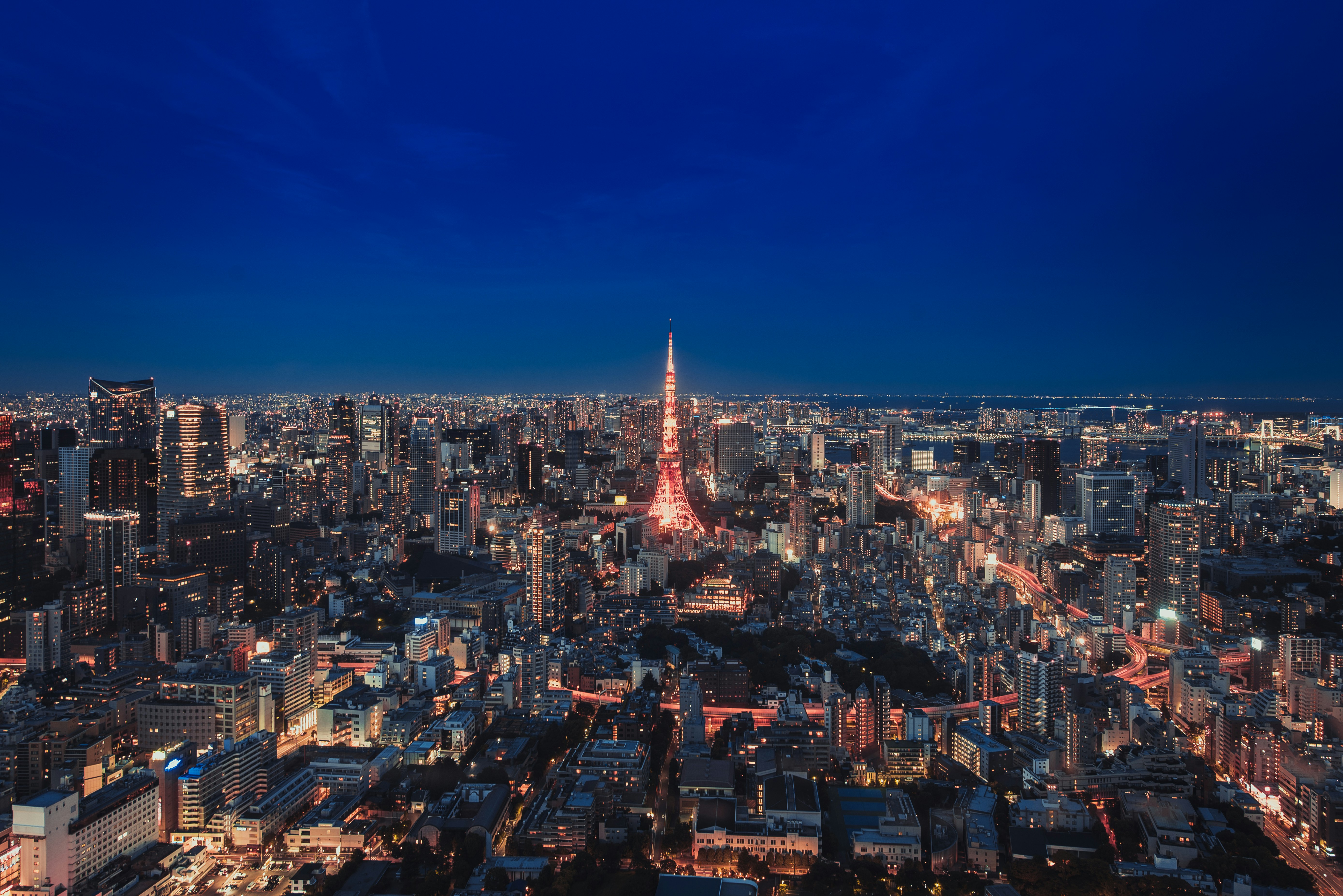 Tokyo Night Skyline